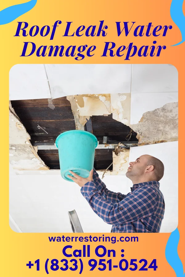 Roof Leak Water Damage Repair in Long Creek, ND